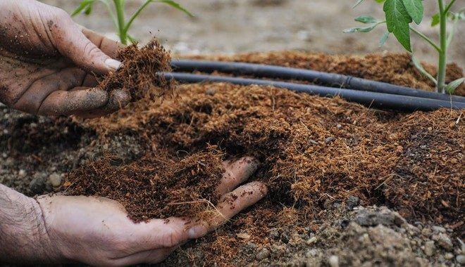 Gleba i jej przygotowanie w ogrodzie